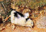 William Holman Hunt John Ruskin's dead chick painting